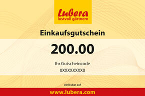 Pflanzen-Gutschein 200