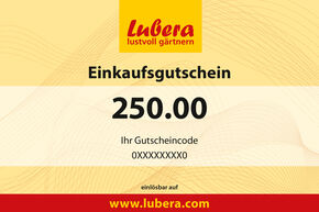 Pflanzen-Gutschein 250