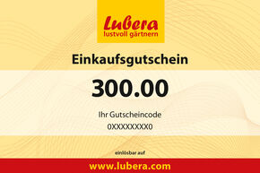 Pflanzen-Gutschein 300