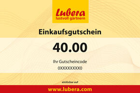 Pflanzen-Gutschein 40