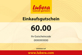 Pflanzen-Gutschein 60