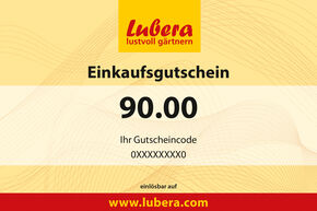 Pflanzen-Gutschein 90