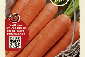 Karotten 'Rote Riesen 2'
