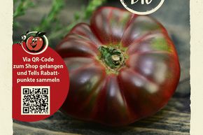 Tomaten 'Noire de Crime'