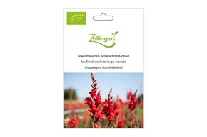 L�wenm�ulchen, Scharlachrot-Kardinal