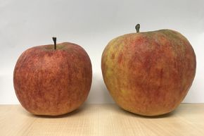 Apfel Melonenapfel