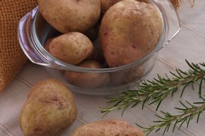 Kartoffel Revoluzzer 'Simsalata'