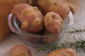 Kartoffel Revoluzzer 'YingYang' 