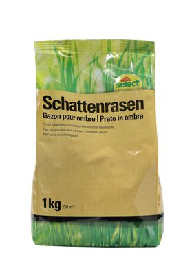 Schattenrasen