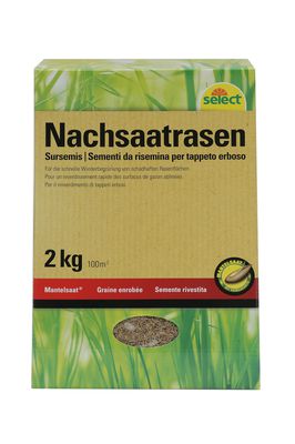 Nachsaatrasen