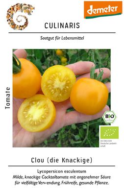 Cocktailtomate Clou BIO