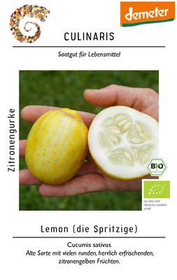 Zitronengurke Lemon BIO