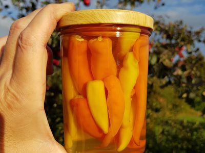 Chili haltbar machen für Faule und für Abenteuerlustige