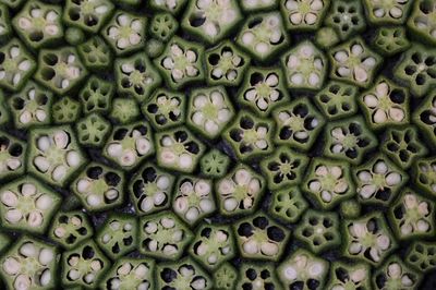 Okra Anbau im eigenen Garten - alle wichtigen Informationen vom Beet bis in die Küche