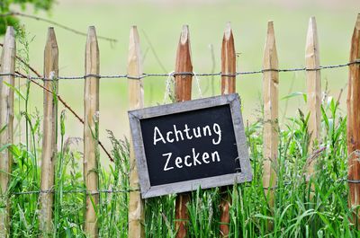 Zecken im Garten &ndash; die besten Mittel und Tipps zur Vorbeugung und Bek&auml;mpfung