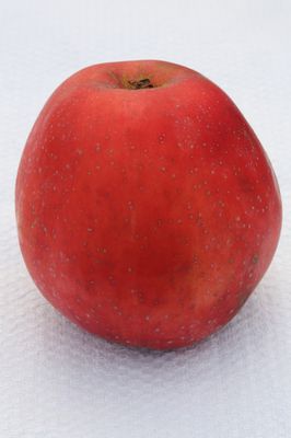 Apfel Spartan - Hochstamm