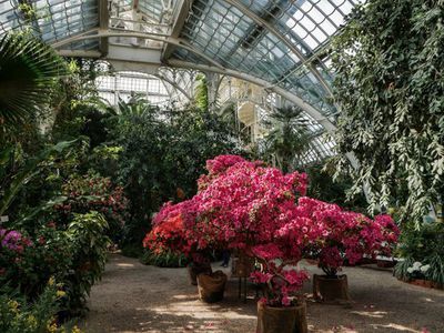 Der Botanische Garten Schönbrunn - Pflanzenpaläste im Garten der Kaiser
