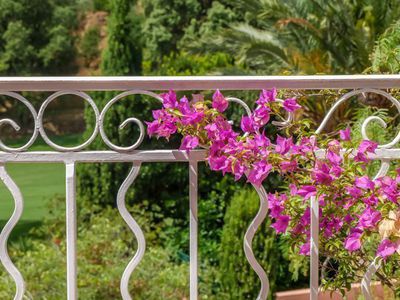 Der ideale Bougainvillea Standort - Sonne bevorzugt