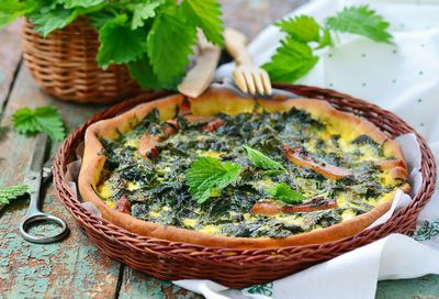 Brennnessel essen – Inhaltsstoffe, Rezepte & Konservierung