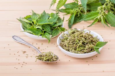 Brennnesselsamen: Rezepte & Wirkung