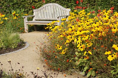 Staudengarten, Spätsommer, Rudbeckia