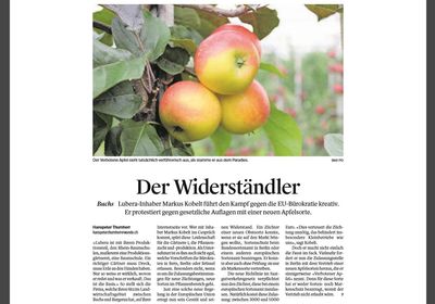 Der Widerständler