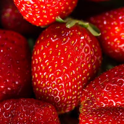 Erdbeeren Samen &#8211; wie lange brauchen sie zum Keimen?