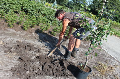 Fruchtbare Erde oder Gartenerde muss nützen!