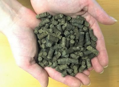 Schafwollpellets DÃ¼nger NatÃ¼rlich Frutilizer