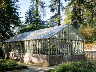 Pflanzen im Gewächshaus überwintern - so stimmen Licht und Temperatur