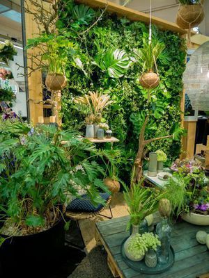 Urban Jungle - exotisches Pflanzen-Arrangement wie im Dschungel
