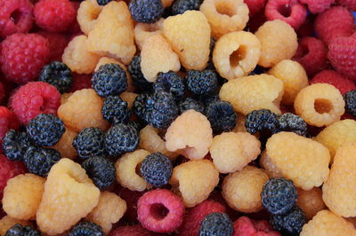 Himbeeren Sorten: diverse Farben und Eigenschaften