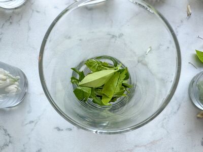 Degustation, Koffein in Zitrusblten, Tee, Orangen, Grapefruit, aus Blttern, Glas mit Blttern