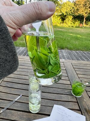 Degustation, Koffein in Zitrusblten, Tee, Orangen, aus Bltter, Glas mit Orangenblttern