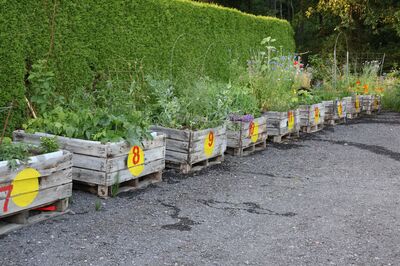 >Stefanies Hochbeetgarten: Tagebuch und Unvorhergesehenes