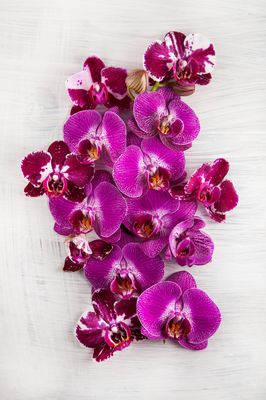 Wie pflege und dekoriere ich Orchideen im Glas?