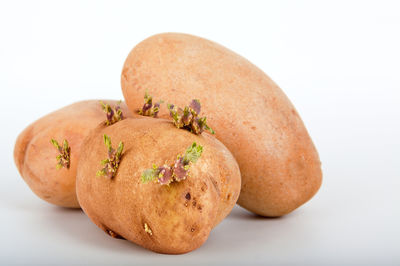 Kartoffeln vorkeimen - eine alte Kulturtechnik