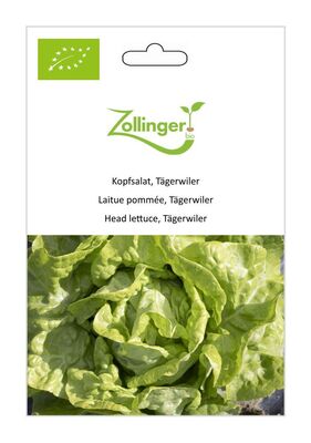 Kopfsalat, Tgerwiler