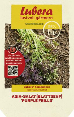 Asia-Salat (Blattsenf) 'Purple Frills'