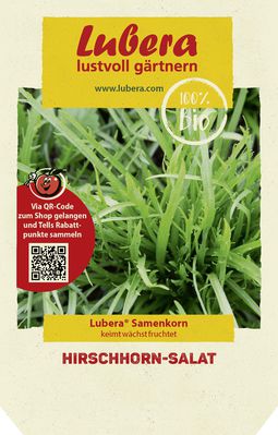 Hirschhorn-Salat