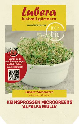 Keimsprossen Microgreens 'Alfalfa Giulia'