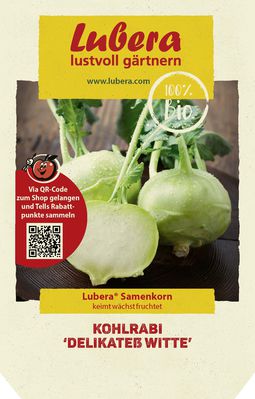 Kohlrabi 'Delikatess Witte'