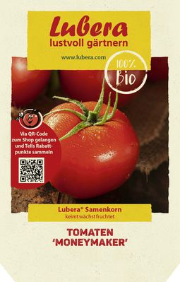 Tomaten 'Moneymaker'