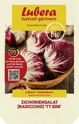 Zichoriensalat (Radicchio) 'TT 506'