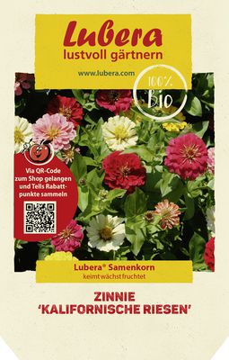 Zinnien 'Kalifornische Riesen'