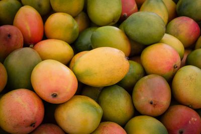 Wie Sie Mango richtig lagern sollten