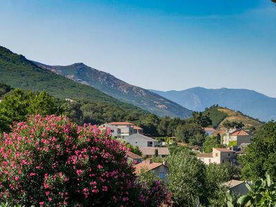 Korsika - mediterrane Flora auf der Insel der Schnheit
