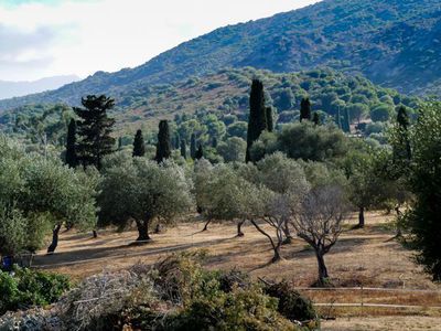 Mediterranes Klima und mediterrane Vegetation