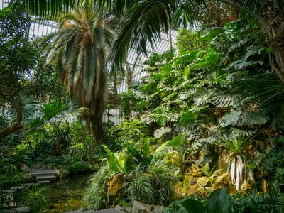 Der Palmengarten Frankfurt - mediterrane Oase in der City