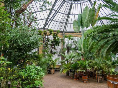 Palmen in Amsterdam - der Hortus Botanicus - Mein Mediterraner Garten